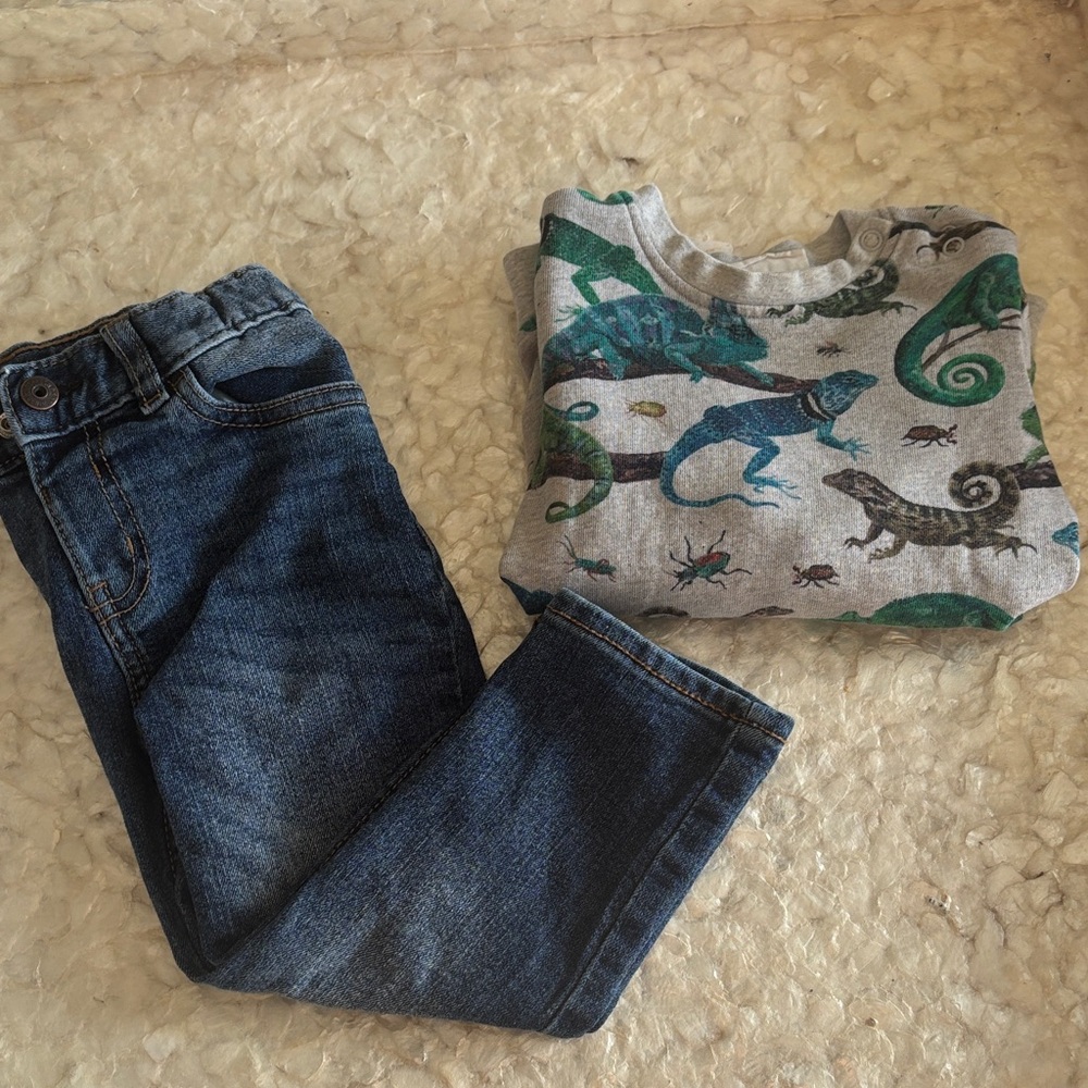 Dinosaur Print Sweatshirt and Blue Jeans Set